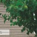 Сайдинг Ю-Пласт TIMBERBLOCK Пихта (Тимберблок) Cахалинская купить в Волжском