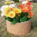 Цветник КАНЬОН купить в Волжском